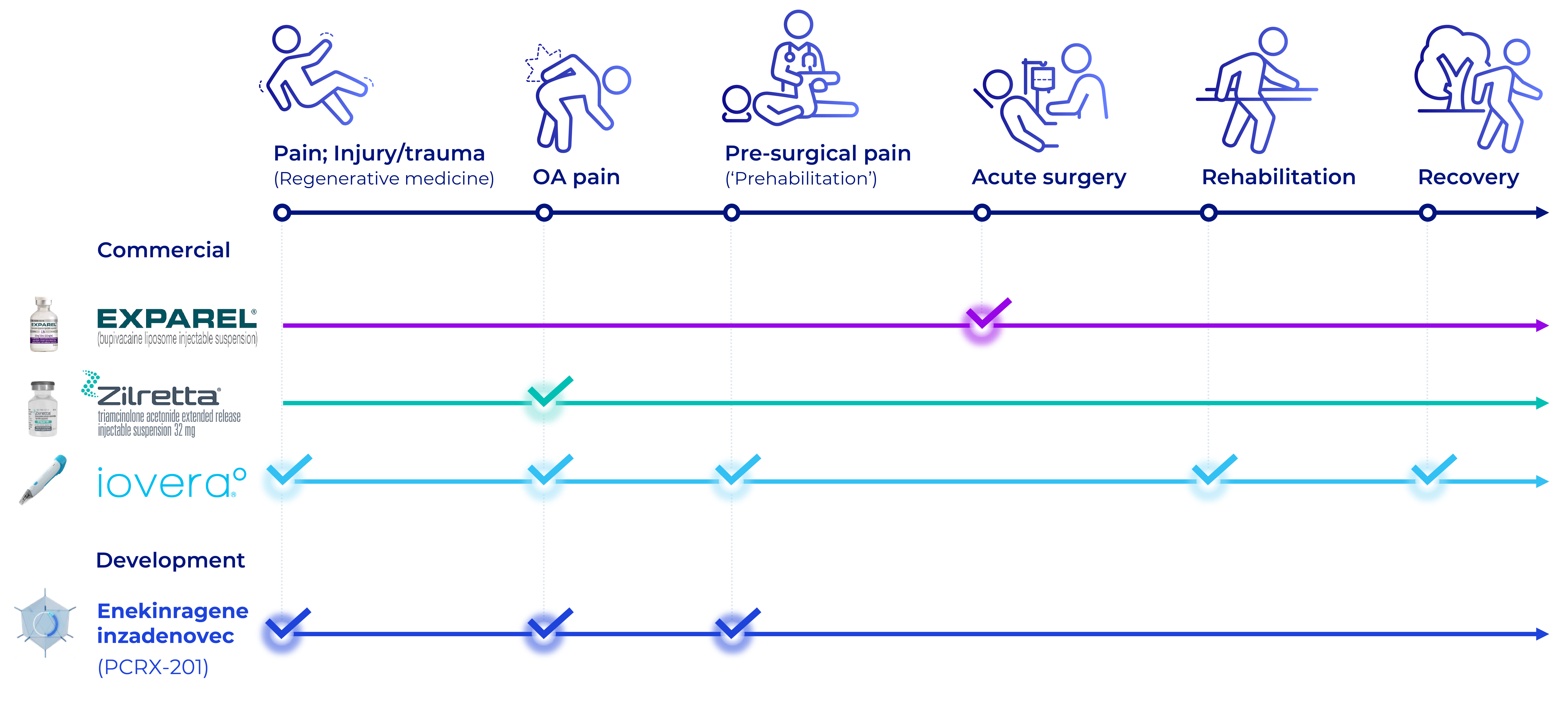 Chart showing the pain management journey from injury to recovery, mapping where Pacira's therapies could be used.